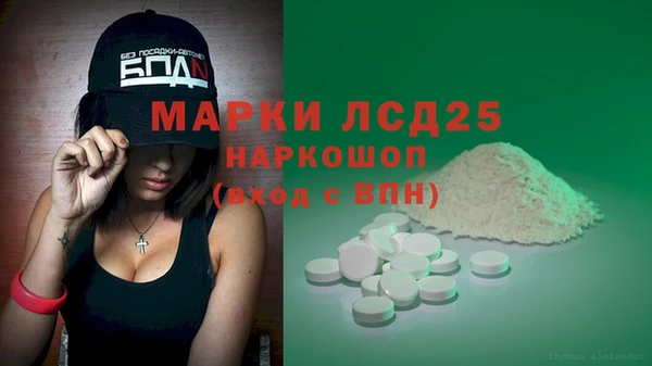 прущие грибы Алексеевка