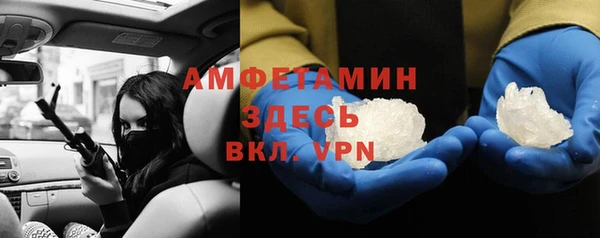 прущие грибы Алексеевка