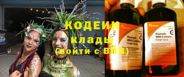 прущие грибы Алексеевка