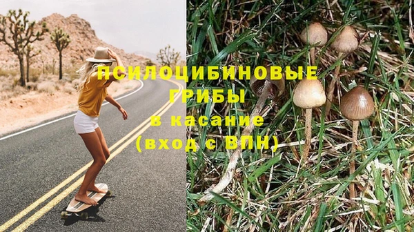 прущие грибы Алексеевка