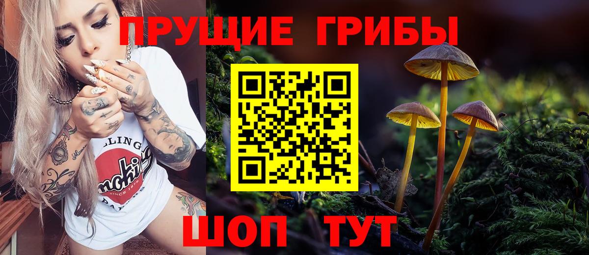 Бийск  Псилоцибиновые грибы MAGIC MUSHROOMS  Вход с VPN 